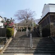 神秘的な雰囲気が漂う　枚岡神社