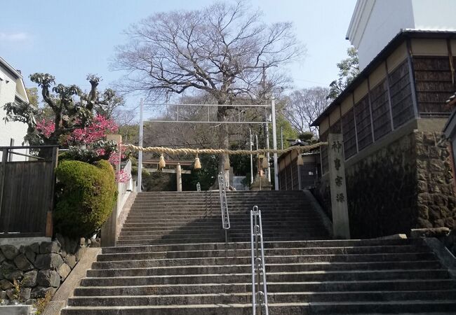神秘的な雰囲気が漂う　枚岡神社