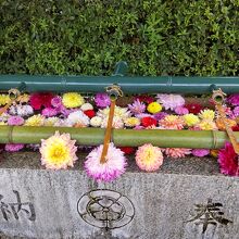 伊和志津神社 