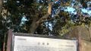 一部の建物が残るのみ！