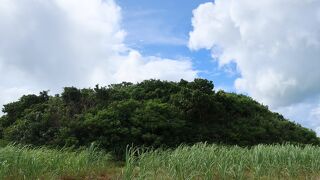 畑の中にポツンとある森