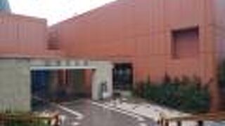 美ら海水族館そば