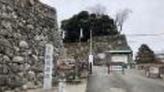 観光スポットが集まる！