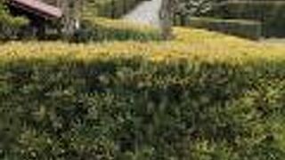 現在も人が住んでいる！