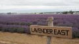 トラクターバスにも乗れる