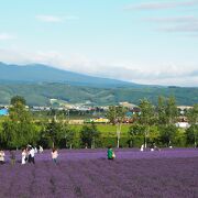 中富良野の絶景ポイント