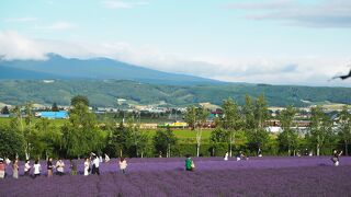 中富良野の絶景ポイント