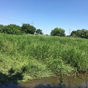 ゆったりした川の流れと水辺の公園