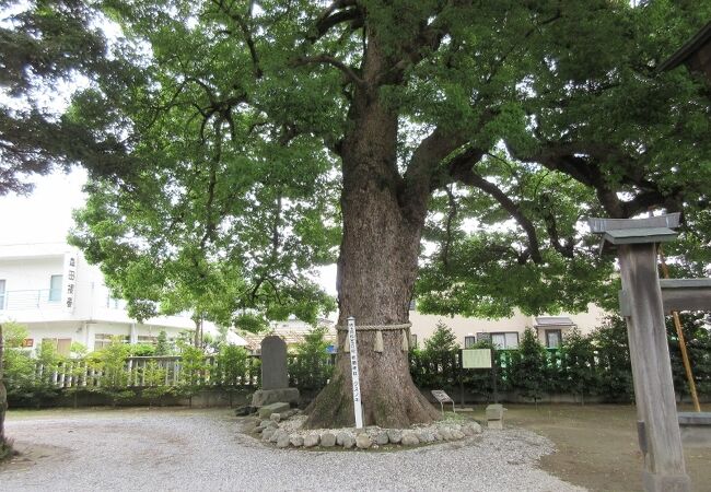 由緒ある神社