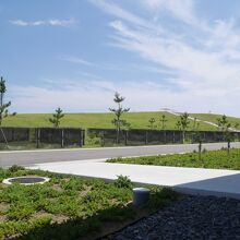 まだ新しい木と、一面の芝生。