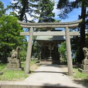 天橋立の並木道の中にある、真水が湧く神秘のパワースポット