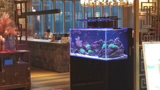 盤古殿 コレド日本橋店