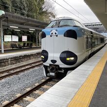 パンダくろしお