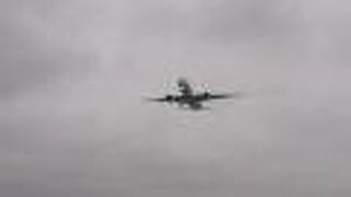 沖縄本島滞在の締めで