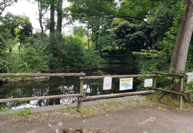 おとめ山公園