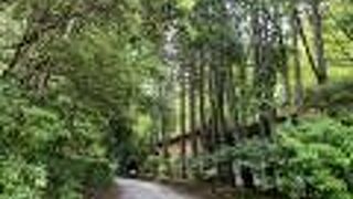 自然の中の美しく、合理的な造りの山荘です。