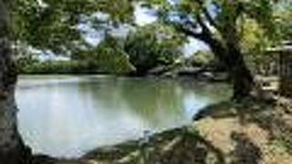 大沢の池は現存する日本最古の人口林泉です。