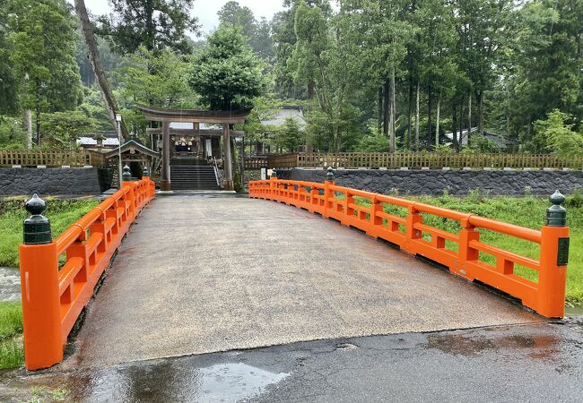 静謐な空気の中で威厳を感じさせる佇まい