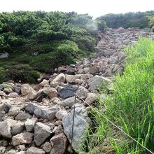 石ころだらけの登り