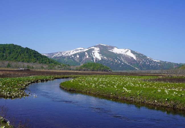 自分に合ったコース