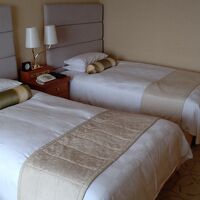 シャンペンゴールドでゴージャスです