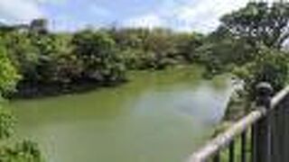 首里城公園内の静かな池。