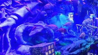 港八十三番地にある深海魚に特化した水族館