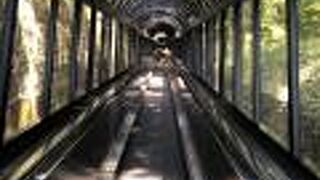 飯盛山を登るのに強い日差しを避けることができ多少楽ができる、