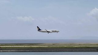 飛行機を眺めるのに良い