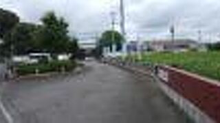 茶畑に囲まれています