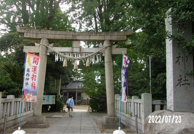 江戸川沿いにある静かな神社です。