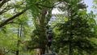 赤れんが庁舎前庭に