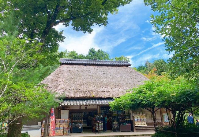 甲賀の里忍術村