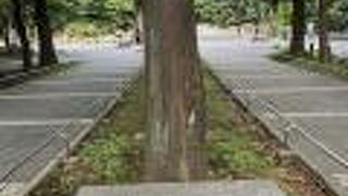 東池袋中央公園