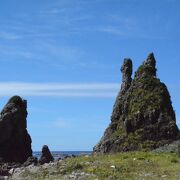 トトロの姿に似ていることからトトロ岩と呼ばれている奇岩