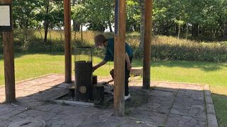 ６月下旬は花々が満開