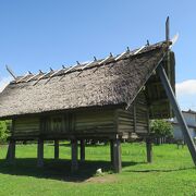 日本で初めて弥生期の稲作文明が検証された地
