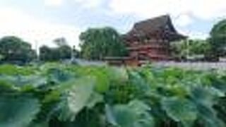 徳川家康公も何度も参拝したとされる神社