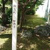 本堂の大修理中です