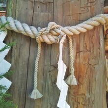 呪い杉に残された五寸くぎの跡