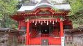 【中津宮】参道から社殿への石段自体はさほどハードではありません