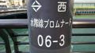 帷子川沿いに整備された歩行者専用道路
