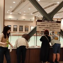 代表者の連絡先を提出します