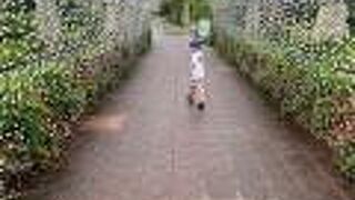 南国の自然や動物に触れあえる場所