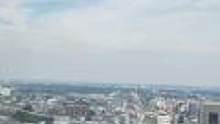 東天紅 千葉スカイウインドウズ