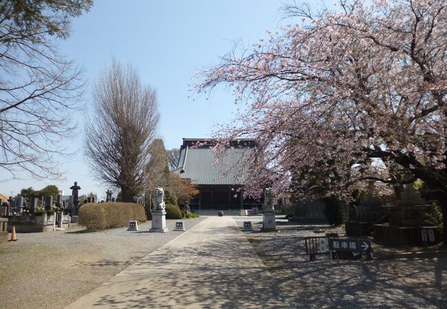 歴史あるお寺