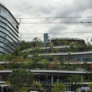 屋上は庭園