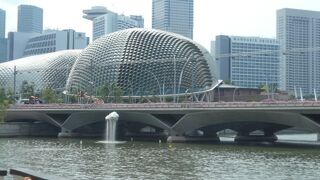 ドリアンを割った形