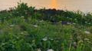 お花畑の岬に沈む夕陽／高校生の憩いの場でもあるお花畑