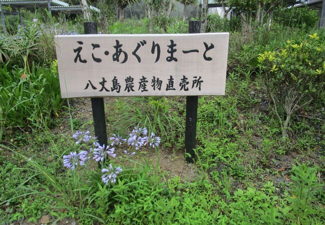 温室の観葉植物と農産物の直売所